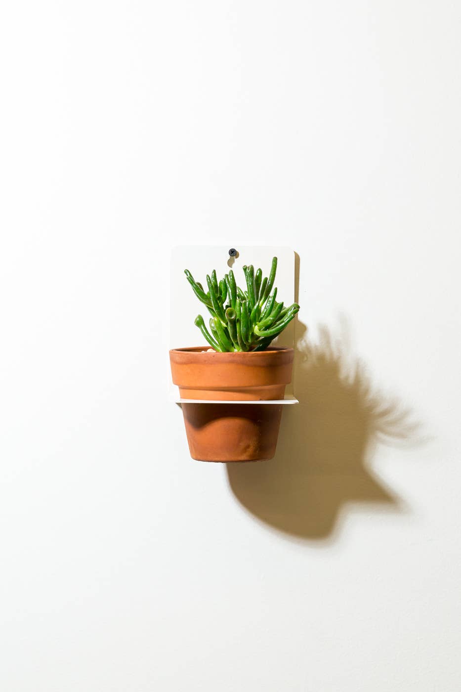 Sheet Metal Wall Planter White