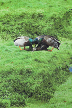 Baby Tee in Worst Ducks