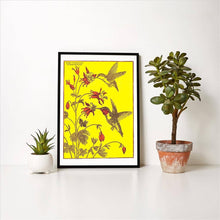 Art Print BD-312 Ruby-Throated Hummingbirds