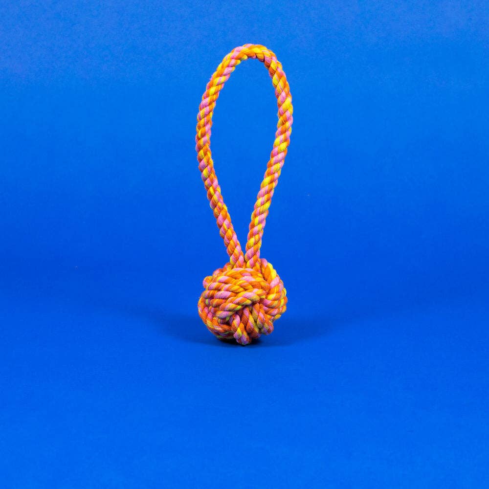 Rope Knot Toy in Neon Pink/Orange/Yellow