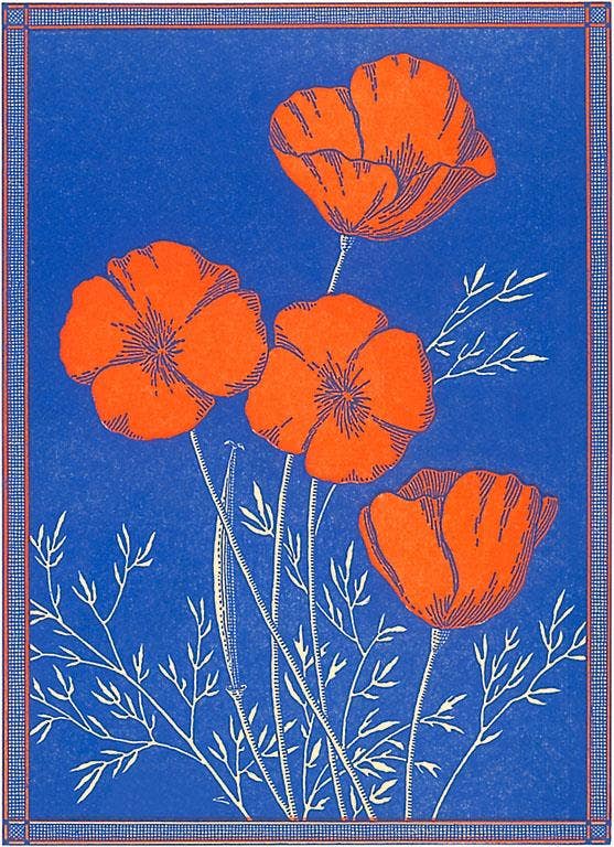 Postcard CA-1427 Poppies