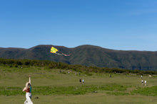 POCKET KITE / SKY SEER