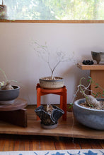 PALLA - Burnt Orange | Plant Stand