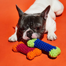 Crochet Bone Dog Toy
