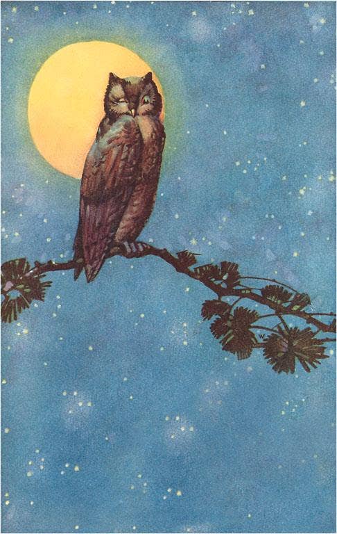 Postcard BD-95 Owl with Full Moon