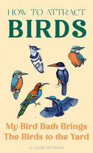 How to Attract Birds (Zine)