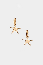 Estelle Hoops