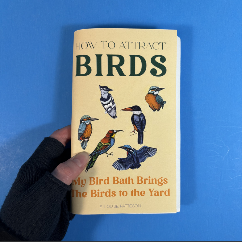 How to Attract Birds (Zine)