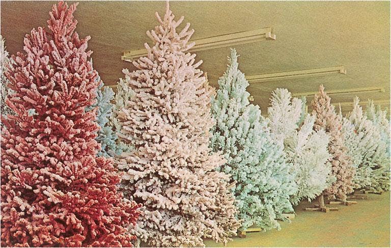 Postcard MC-342 Lots of Flocked Christmas Trees