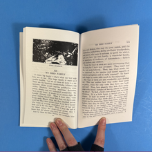 How to Attract Birds (Zine)