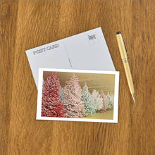 Postcard MC-342 Lots of Flocked Christmas Trees