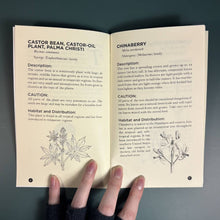 Poisonous Plants & How to Spot Them (Zine)