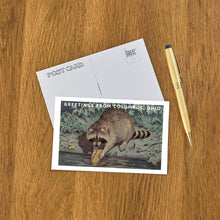 Postcard OH-596 Greetings From Columbus Ohio Raccoon