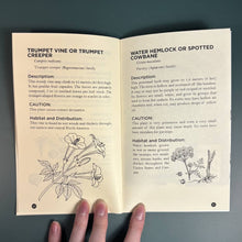 Poisonous Plants & How to Spot Them (Zine)