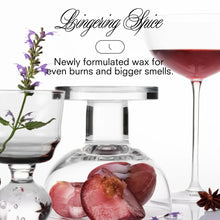 Festive Starry Spice 8.5oz Candle