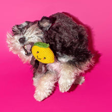 Cotton Crochet Lemon Dog Toy