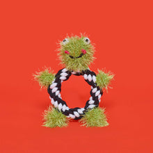 Frog Rope Dog Toy 