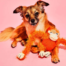 Hand Crochet Monkey Dog Toy
