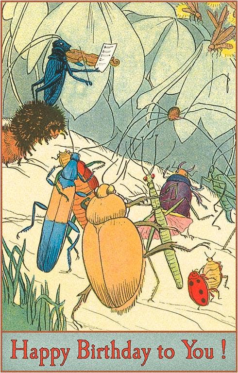 Postcard HB-142 Happy Birthday, Insect Ball